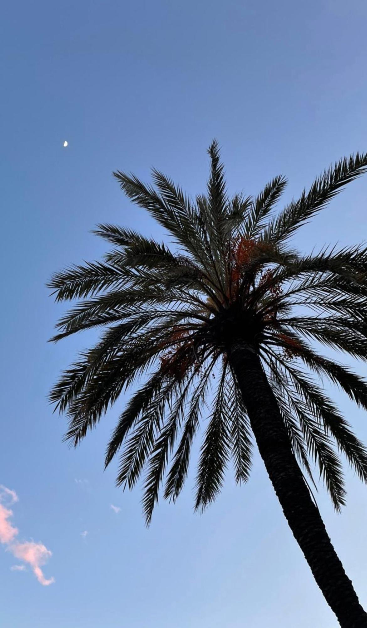 Acqua Di Mare Panzió Bordighera Kültér fotó